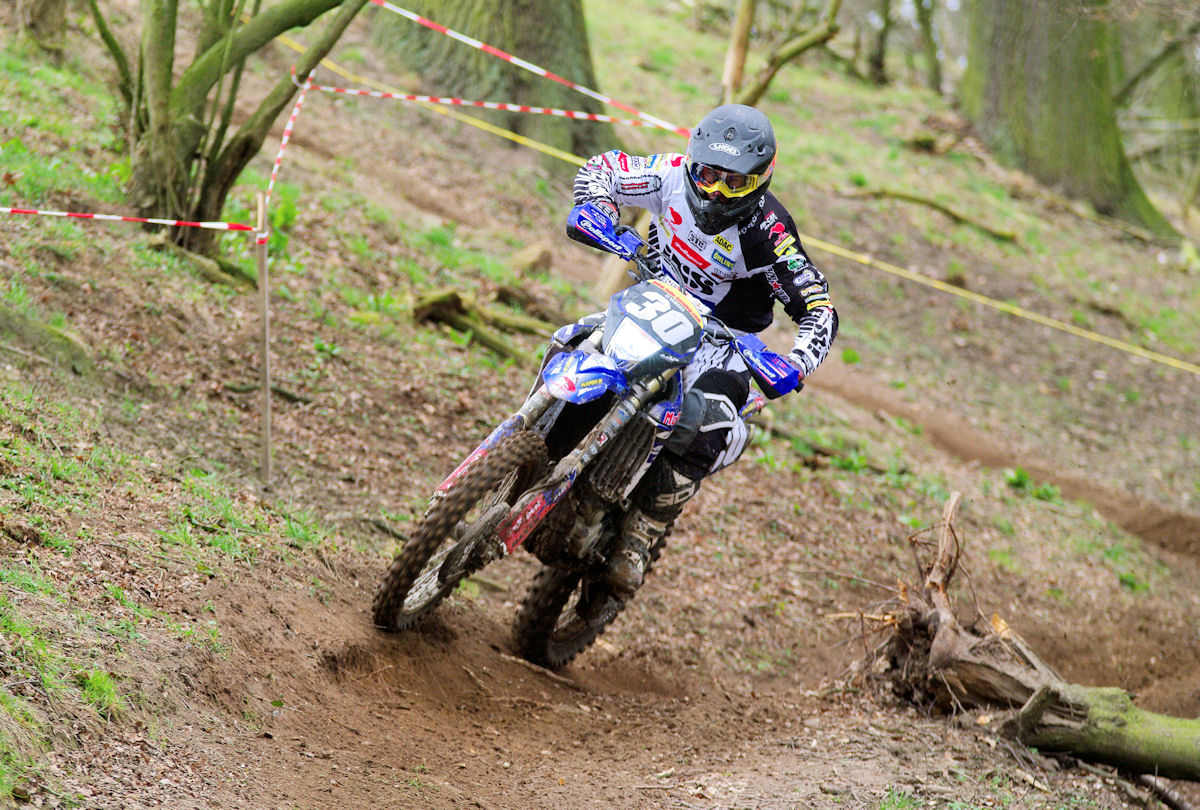 TEI DEM Dahlen2015 Rosse 2. tbJPG