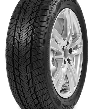 davanti wintoura davanti wintoura