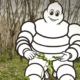 Für jeden bis zum 31. Mai in einer Euromaster-Servicefiliale erworbenen Michelin „E.Primacy“ spenden der Reifenhersteller und seine Handelstochter Geld an die deutsche Umwelt- und Klimaschutzorganisation Plant-My-Tree, die pro Reifen in Deutschland zwei Bäume pflanzt (Bild: Michelin)