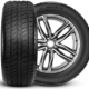 Bei internen Tests soll der neue „All Season EV“ der Omni-United-Marke Radar Tyres im Vergleich mit Produkten von Premiumherstellern – Ross und Reiter werden nicht genannt – eine gute Figur gemacht haben (Bild: Omni United)